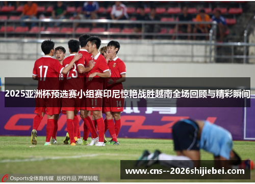 2025亚洲杯预选赛小组赛印尼惊艳战胜越南全场回顾与精彩瞬间 2025亚洲杯预选赛小组赛印尼惊艳战胜越南全场回顾与精彩瞬间