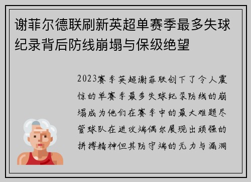 谢菲尔德联刷新英超单赛季最多失球纪录背后防线崩塌与保级绝望